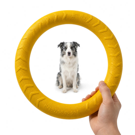 JoyPetto Floating EVA Dog Toys for Fetch, Chewing & Water Play