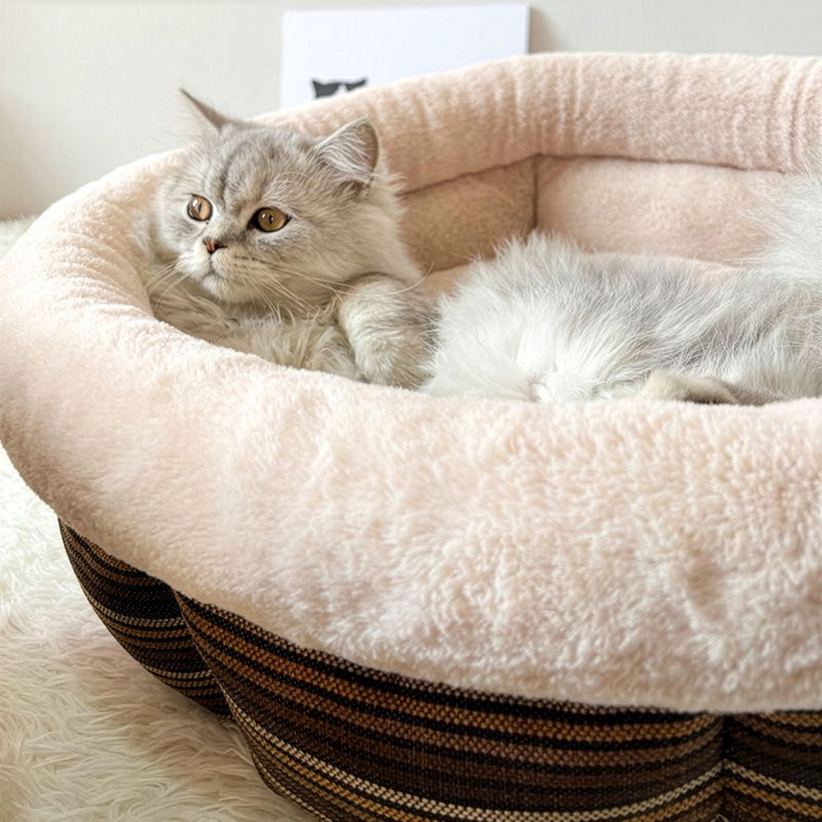 JoyPetto Calming Round Pet Bed for Cats, Small Dogs & Rabbits