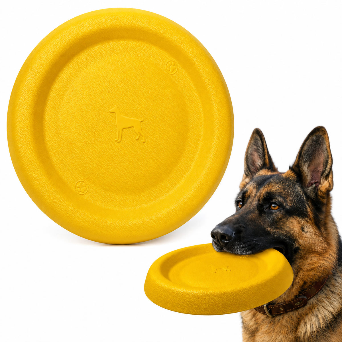 JoyPetto Floating EVA Dog Toys for Fetch, Chewing & Water Play