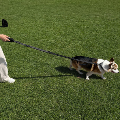 JoyPetto Tactical Bungee Dog Leash with Seatbelt Clip & Reflective Trim