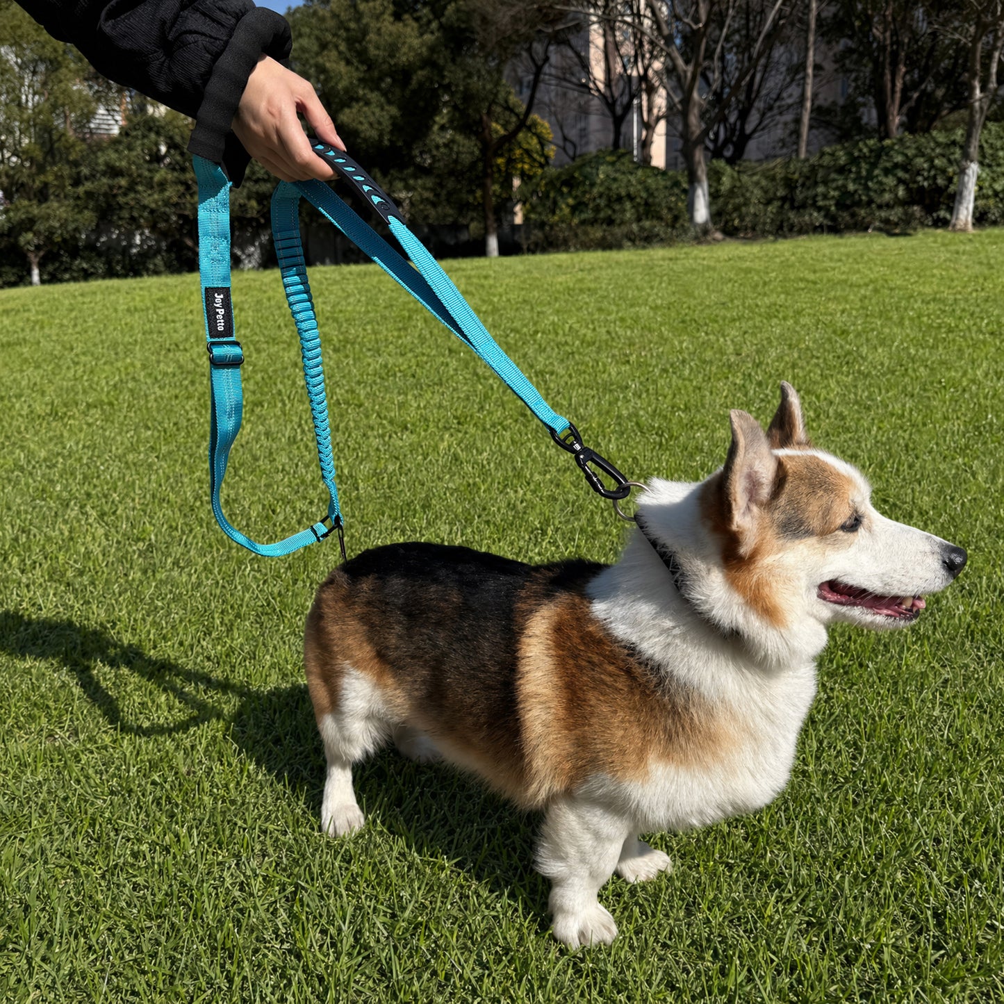 JoyPetto Tactical Bungee Dog Leash with Seatbelt Clip & Reflective Trim