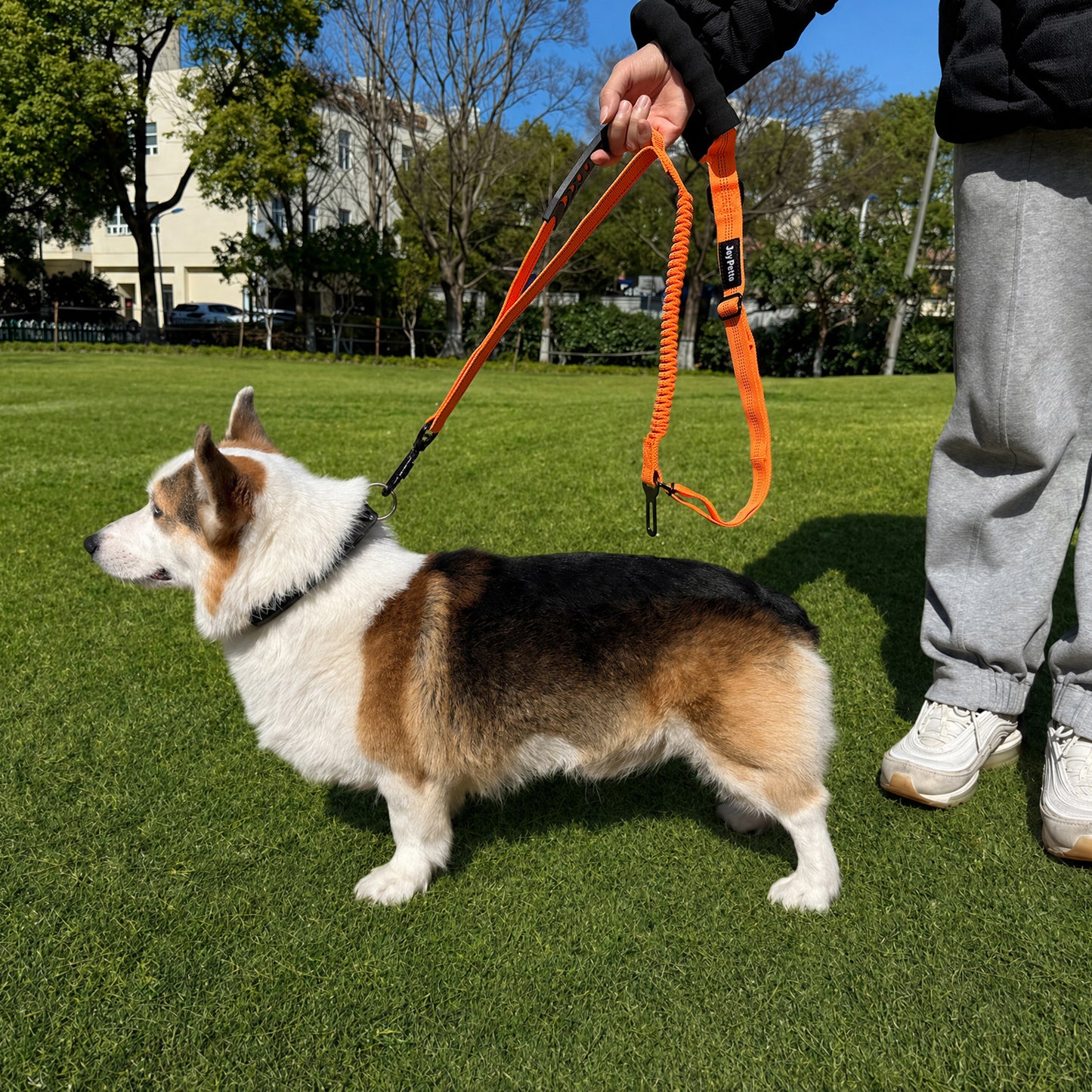 JoyPetto Tactical Bungee Dog Leash with Seatbelt Clip & Reflective Trim