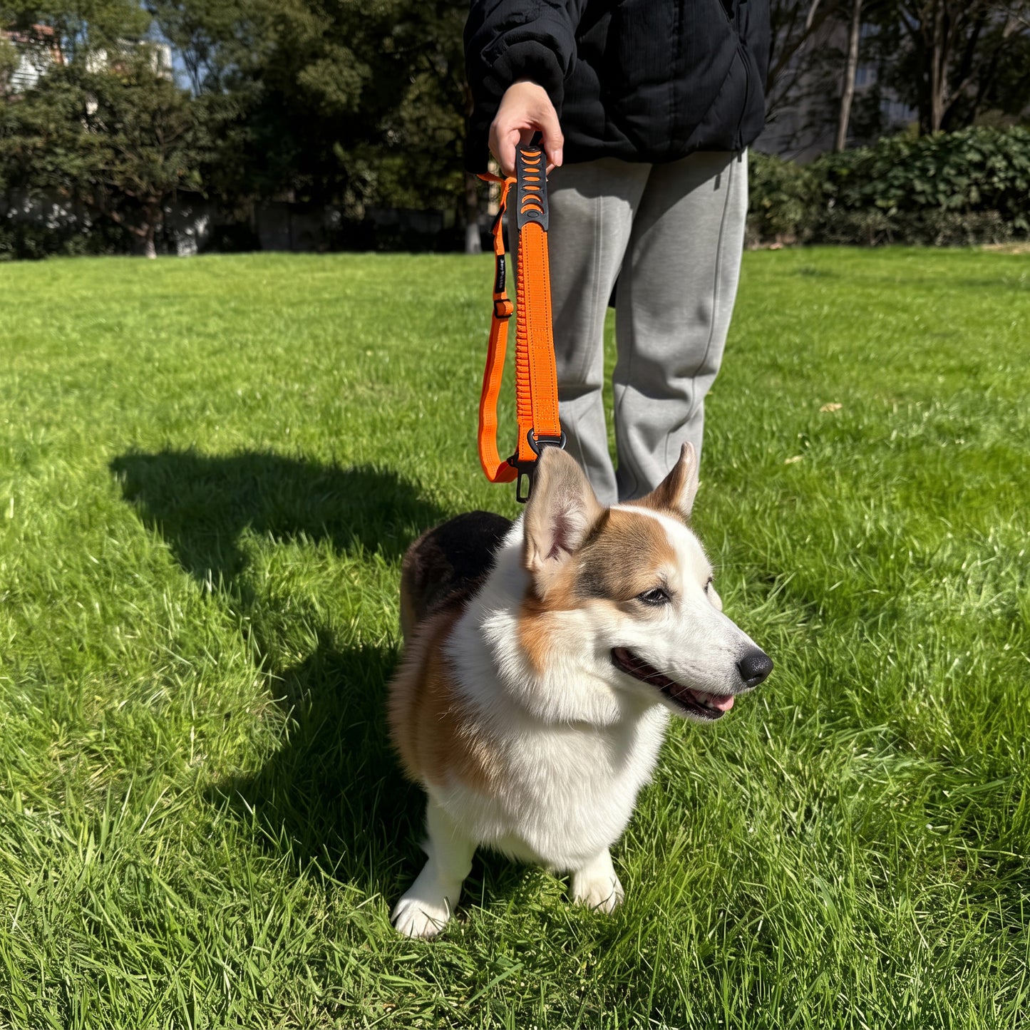 JoyPetto Tactical Bungee Dog Leash with Seatbelt Clip & Reflective Trim