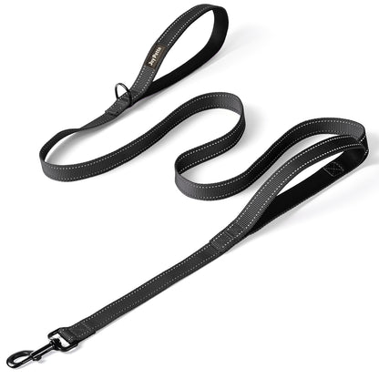 JoyPetto 6 ft Reflective Dog Leash with Dual Padded Handles
