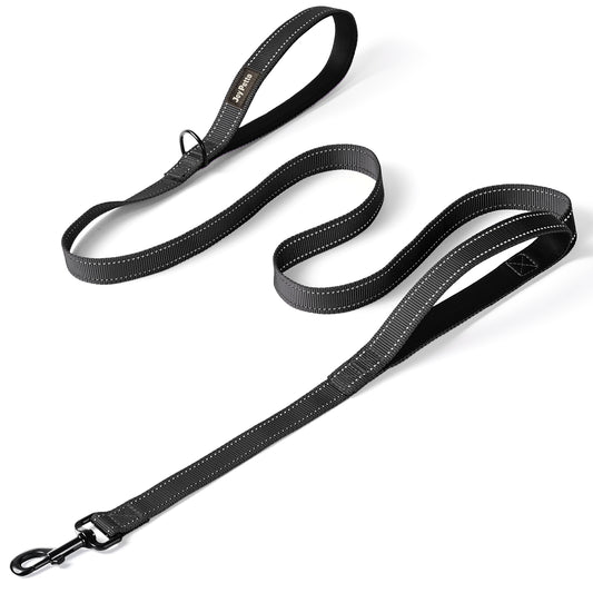 JoyPetto 6 ft Reflective Dog Leash with Dual Padded Handles