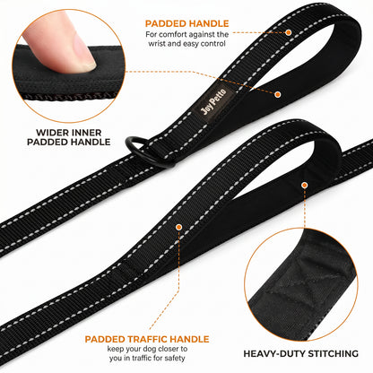 JoyPetto 6 ft Reflective Dog Leash with Dual Padded Handles