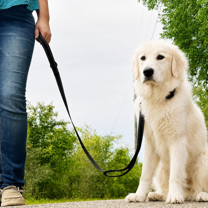 JoyPetto 6 ft Reflective Dog Leash with Dual Padded Handles