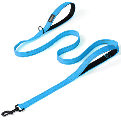 JoyPetto 6 ft Reflective Dog Leash with Dual Padded Handles