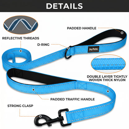 JoyPetto 6 ft Reflective Dog Leash with Dual Padded Handles
