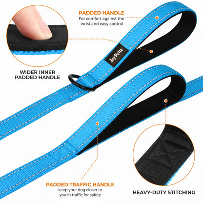 JoyPetto 6 ft Reflective Dog Leash with Dual Padded Handles