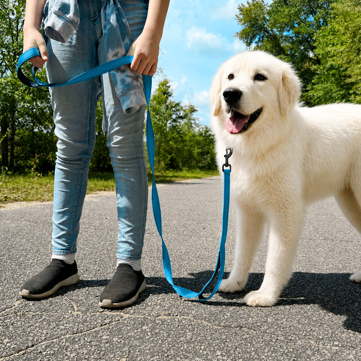 JoyPetto 6 ft Reflective Dog Leash with Dual Padded Handles