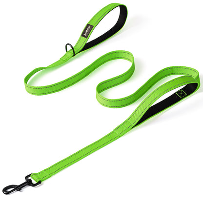 JoyPetto 6 ft Reflective Dog Leash with Dual Padded Handles