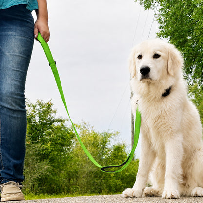 JoyPetto 6 ft Reflective Dog Leash with Dual Padded Handles