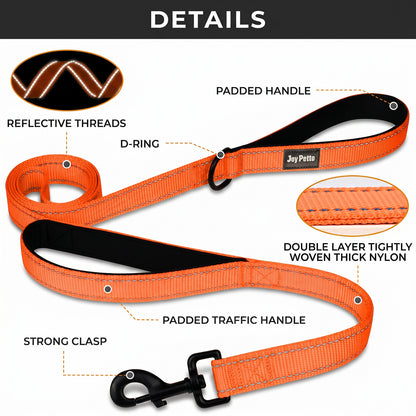 JoyPetto 6 ft Reflective Dog Leash with Dual Padded Handles