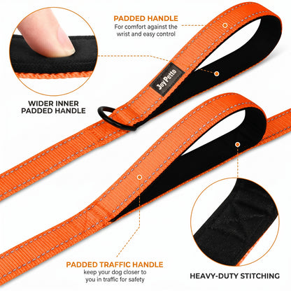 JoyPetto 6 ft Reflective Dog Leash with Dual Padded Handles