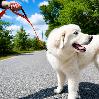 JoyPetto 6 ft Reflective Dog Leash with Dual Padded Handles