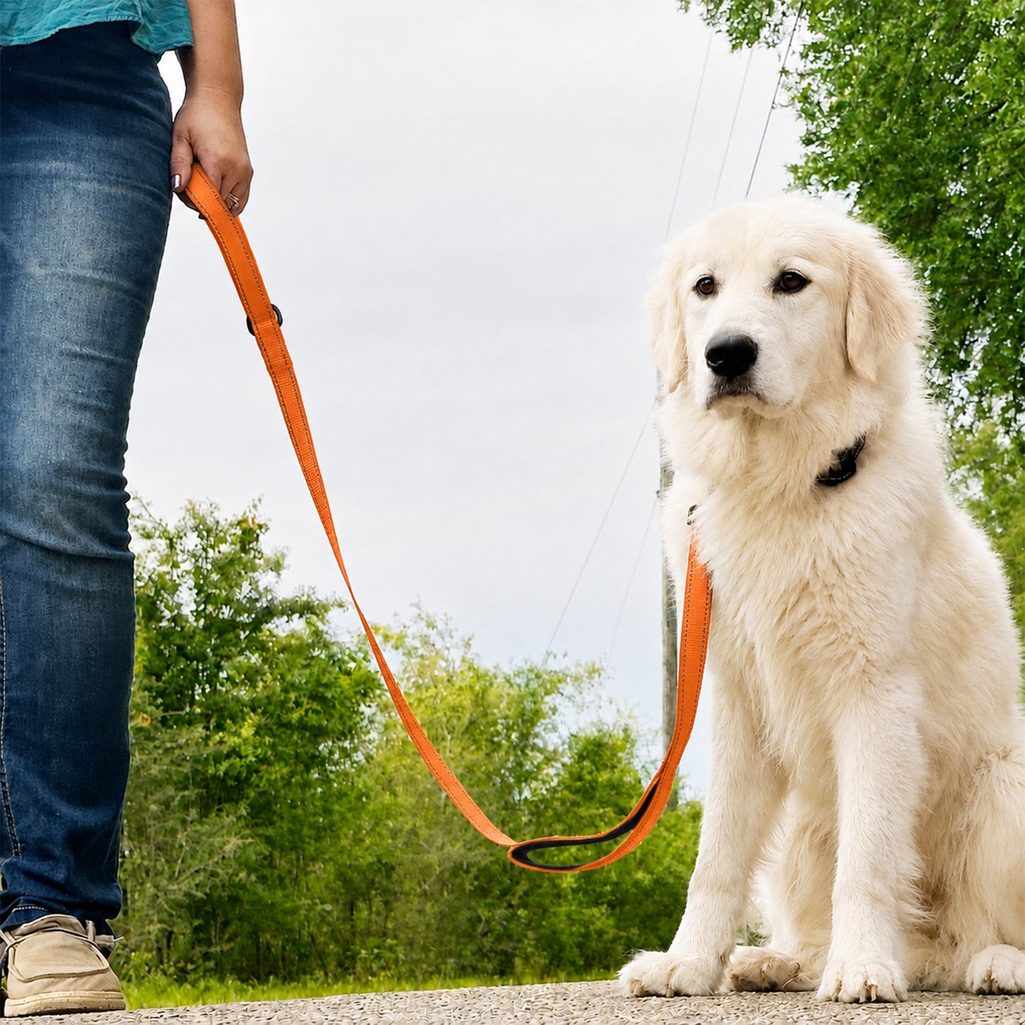 JoyPetto 6 ft Reflective Dog Leash with Dual Padded Handles