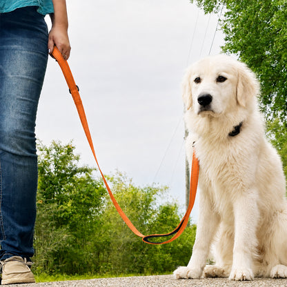 JoyPetto 6 ft Reflective Dog Leash with Dual Padded Handles