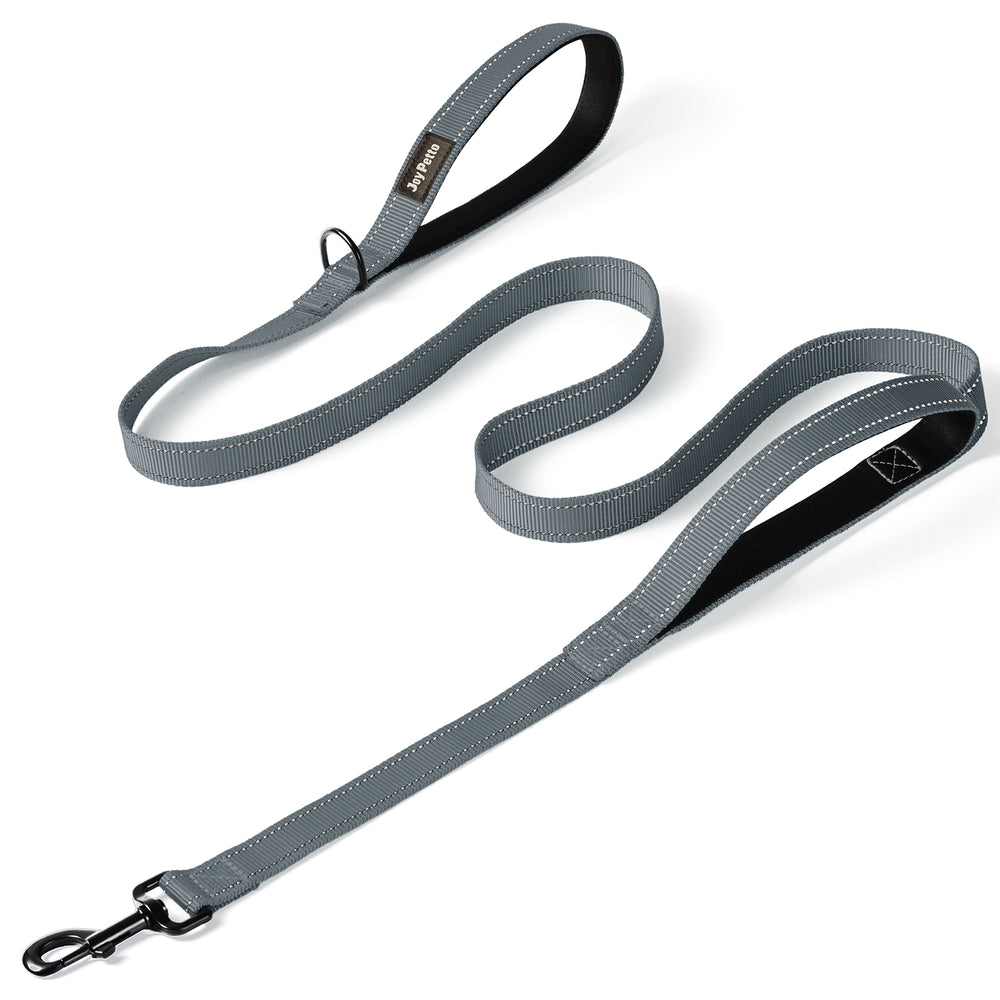 JoyPetto 6 ft Reflective Dog Leash with Dual Padded Handles