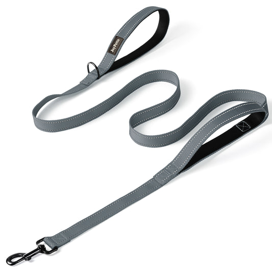 JoyPetto 6 ft Reflective Dog Leash with Dual Padded Handles