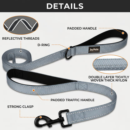 JoyPetto 6 ft Reflective Dog Leash with Dual Padded Handles