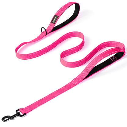 JoyPetto 6 ft Reflective Dog Leash with Dual Padded Handles