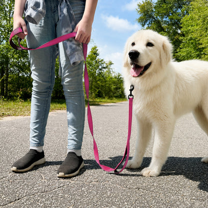 JoyPetto 6 ft Reflective Dog Leash with Dual Padded Handles