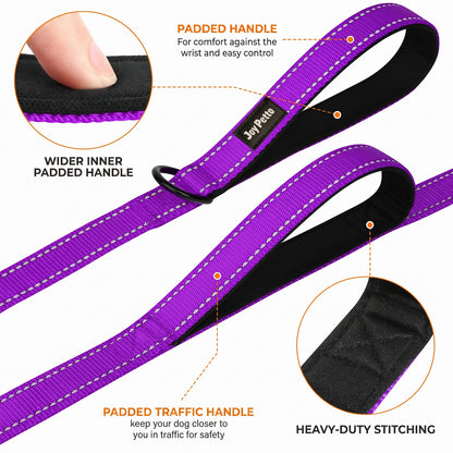 JoyPetto 6 ft Reflective Dog Leash with Dual Padded Handles