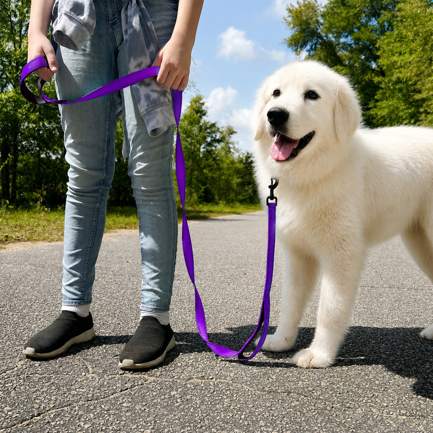 JoyPetto 6 ft Reflective Dog Leash with Dual Padded Handles