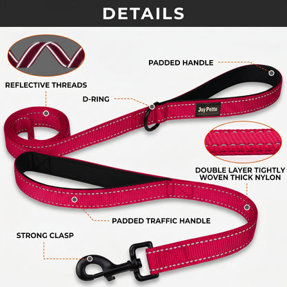 JoyPetto 6 ft Reflective Dog Leash with Dual Padded Handles