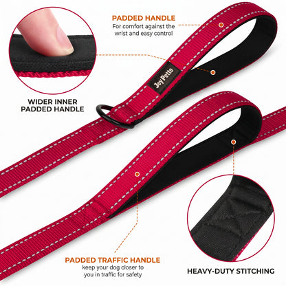 JoyPetto 6 ft Reflective Dog Leash with Dual Padded Handles