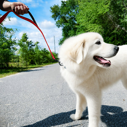 JoyPetto 6 ft Reflective Dog Leash with Dual Padded Handles