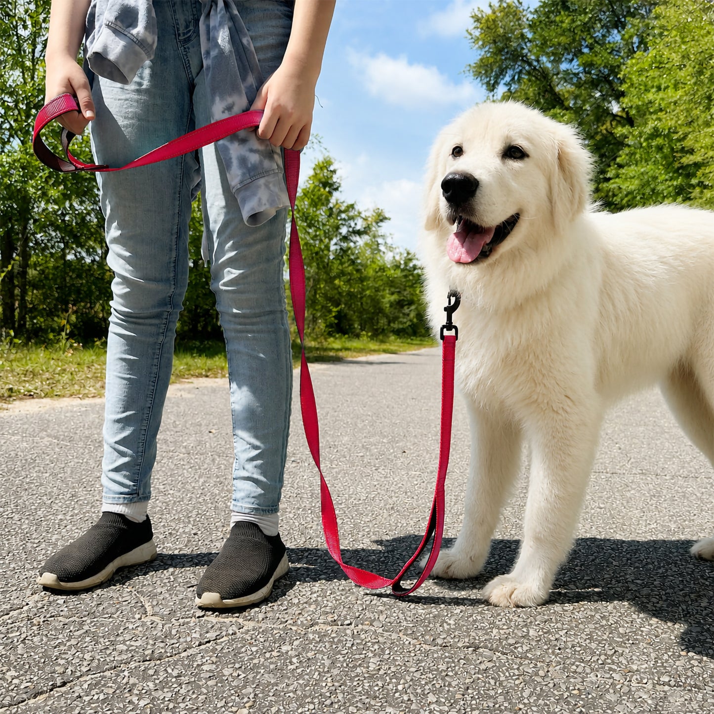JoyPetto 6 ft Reflective Dog Leash with Dual Padded Handles
