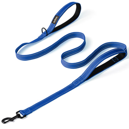 JoyPetto 6 ft Reflective Dog Leash with Dual Padded Handles
