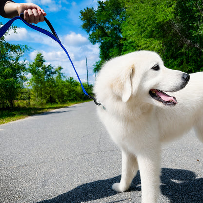 JoyPetto 6 ft Reflective Dog Leash with Dual Padded Handles