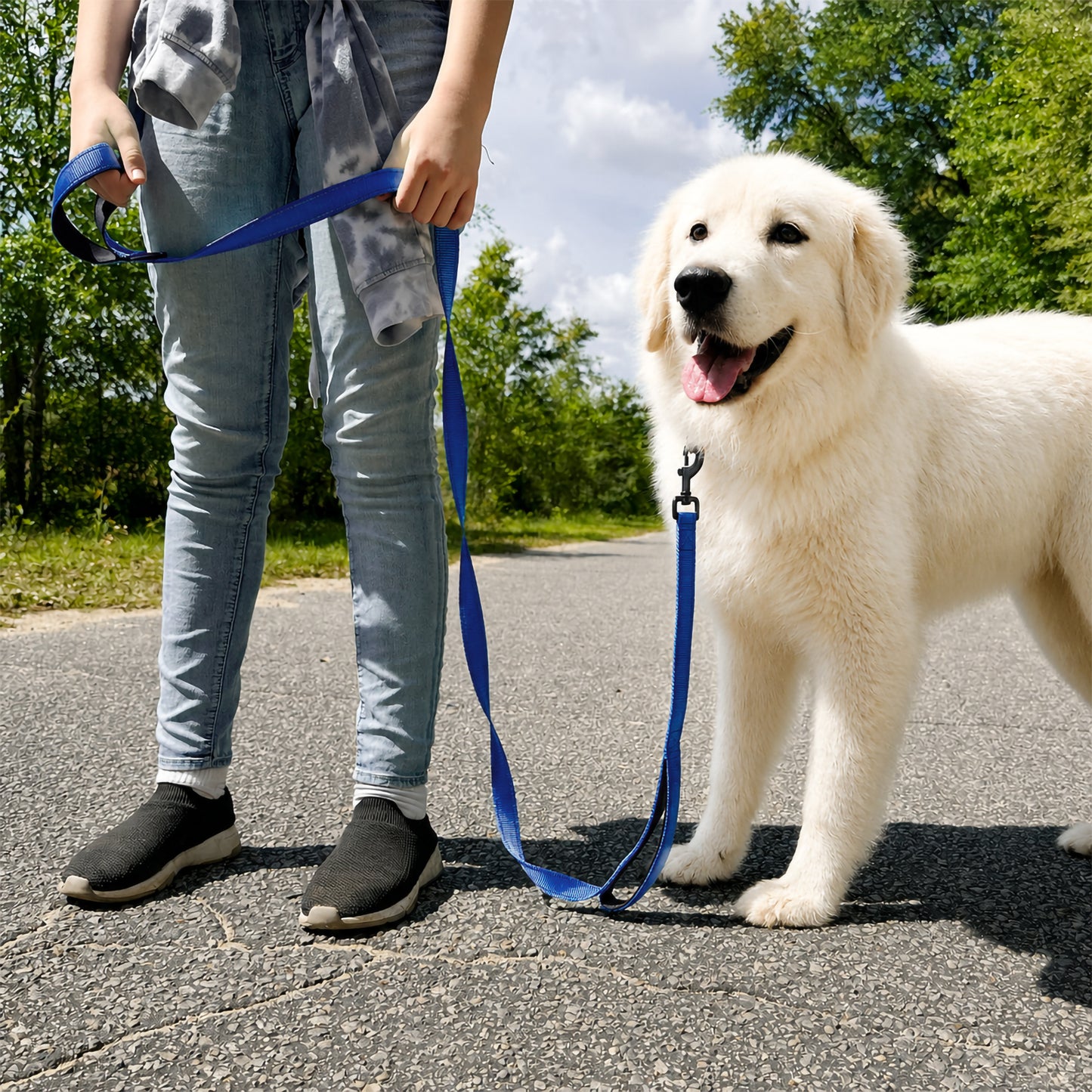 JoyPetto 6 ft Reflective Dog Leash with Dual Padded Handles