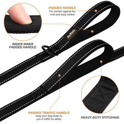 JoyPetto Reflective Dog Collar & 6 ft Dual-Handle Leash Set