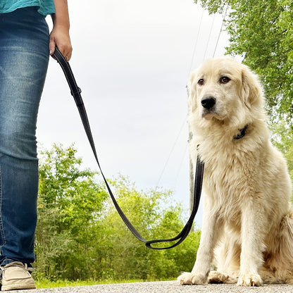JoyPetto Reflective Dog Collar & 6 ft Dual-Handle Leash Set