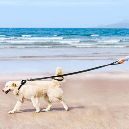 JoyPetto Reflective Dog Collar & 6 ft Dual-Handle Leash Set