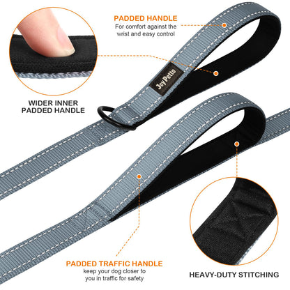 JoyPetto Reflective Dog Collar & 6 ft Dual-Handle Leash Set