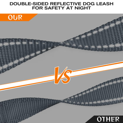 JoyPetto Reflective Dog Collar & 6 ft Dual-Handle Leash Set