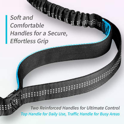 JoyPetto Hands-Free Bungee Dog Leash with Waist Belt & Dual Handles