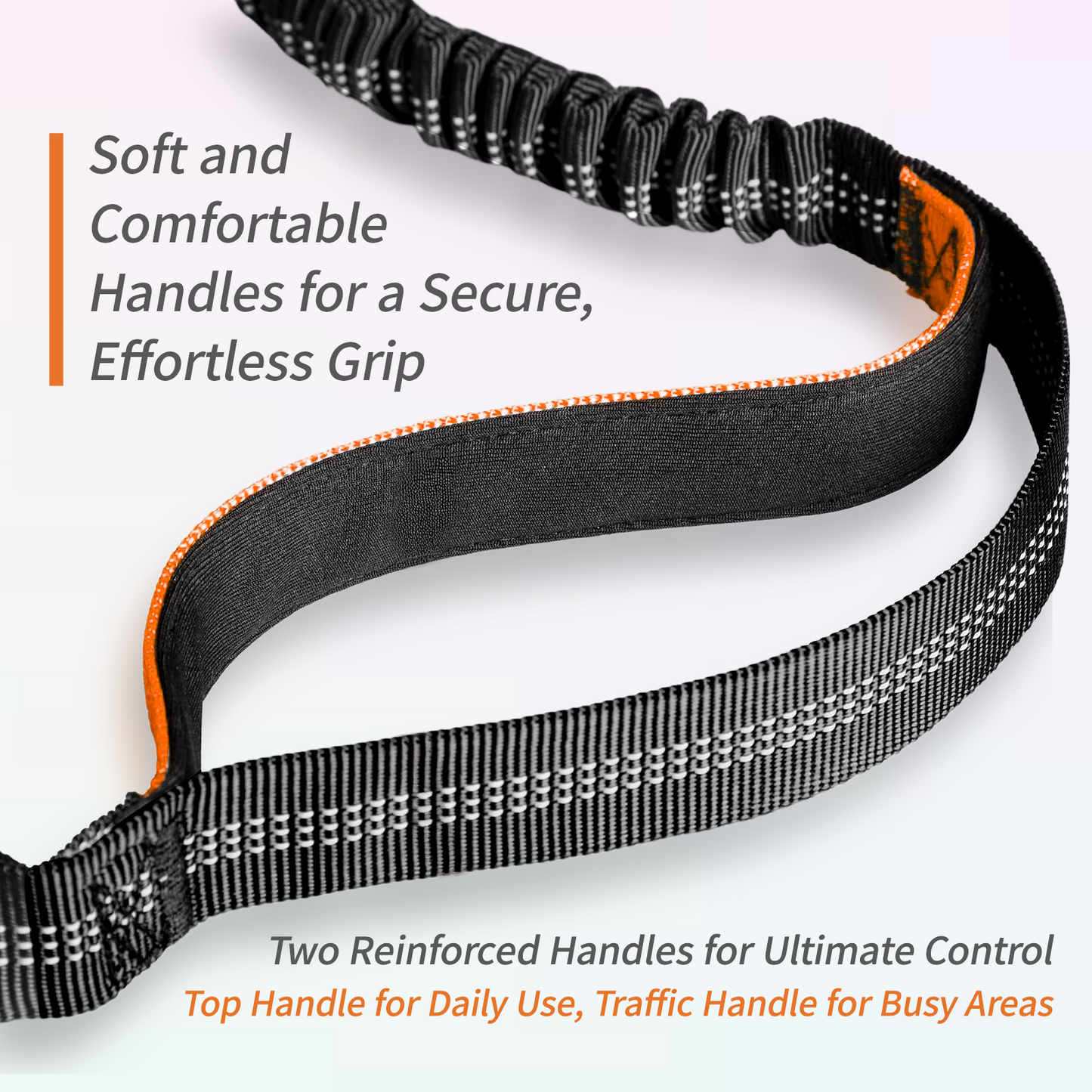 JoyPetto Hands-Free Bungee Dog Leash with Waist Belt & Dual Handles