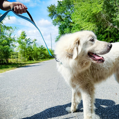 JoyPetto Reflective Dog Collar & 6 ft Dual-Handle Leash Set