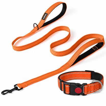 JoyPetto Reflective Dog Collar & 6 ft Dual-Handle Leash Set