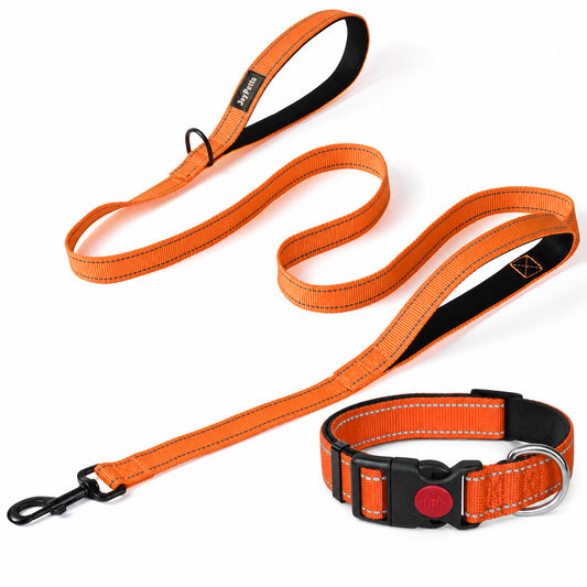 JoyPetto Reflective Dog Collar & 6 ft Dual-Handle Leash Set