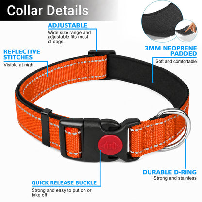 JoyPetto Reflective Dog Collar & 6 ft Dual-Handle Leash Set