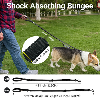 JoyPetto No-Pull Bungee Dog Leash with Seatbelt Clip & Dual Handles