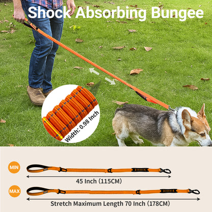 JoyPetto No-Pull Bungee Dog Leash with Seatbelt Clip & Dual Handles