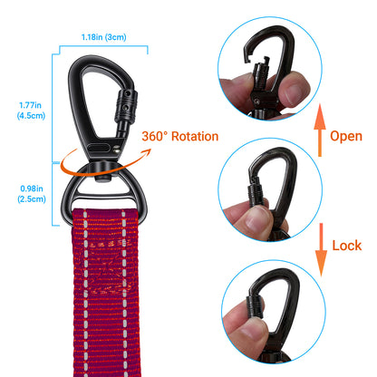 JoyPetto No-Pull Bungee Dog Leash with Seatbelt Clip & Dual Handles